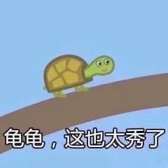 日本炸龟壳零食,炸龟壳