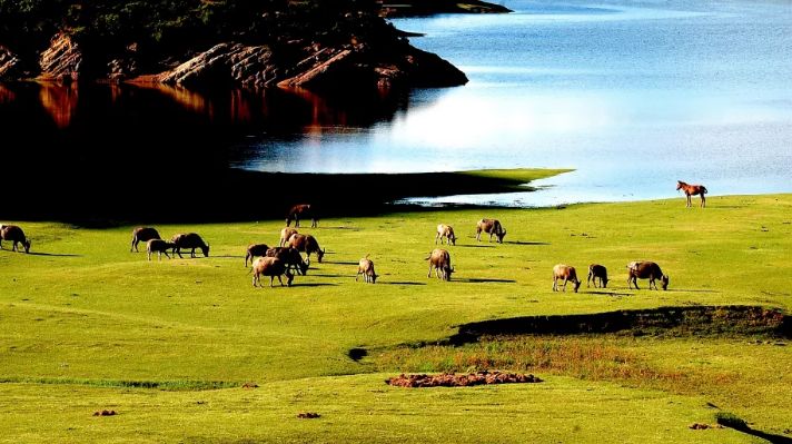 楚雄青山湖旅游度假区建设项目,楚雄州牟定庆丰湖旅游开发项目