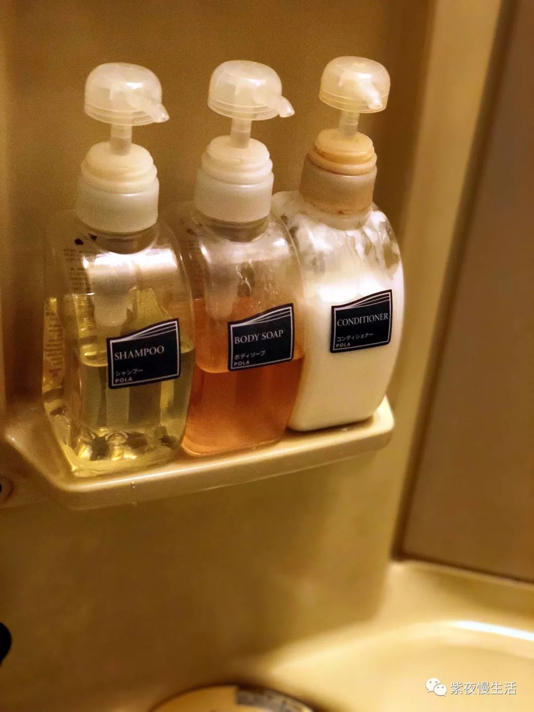 未见富士,幸运依在-秀峰阁湖月