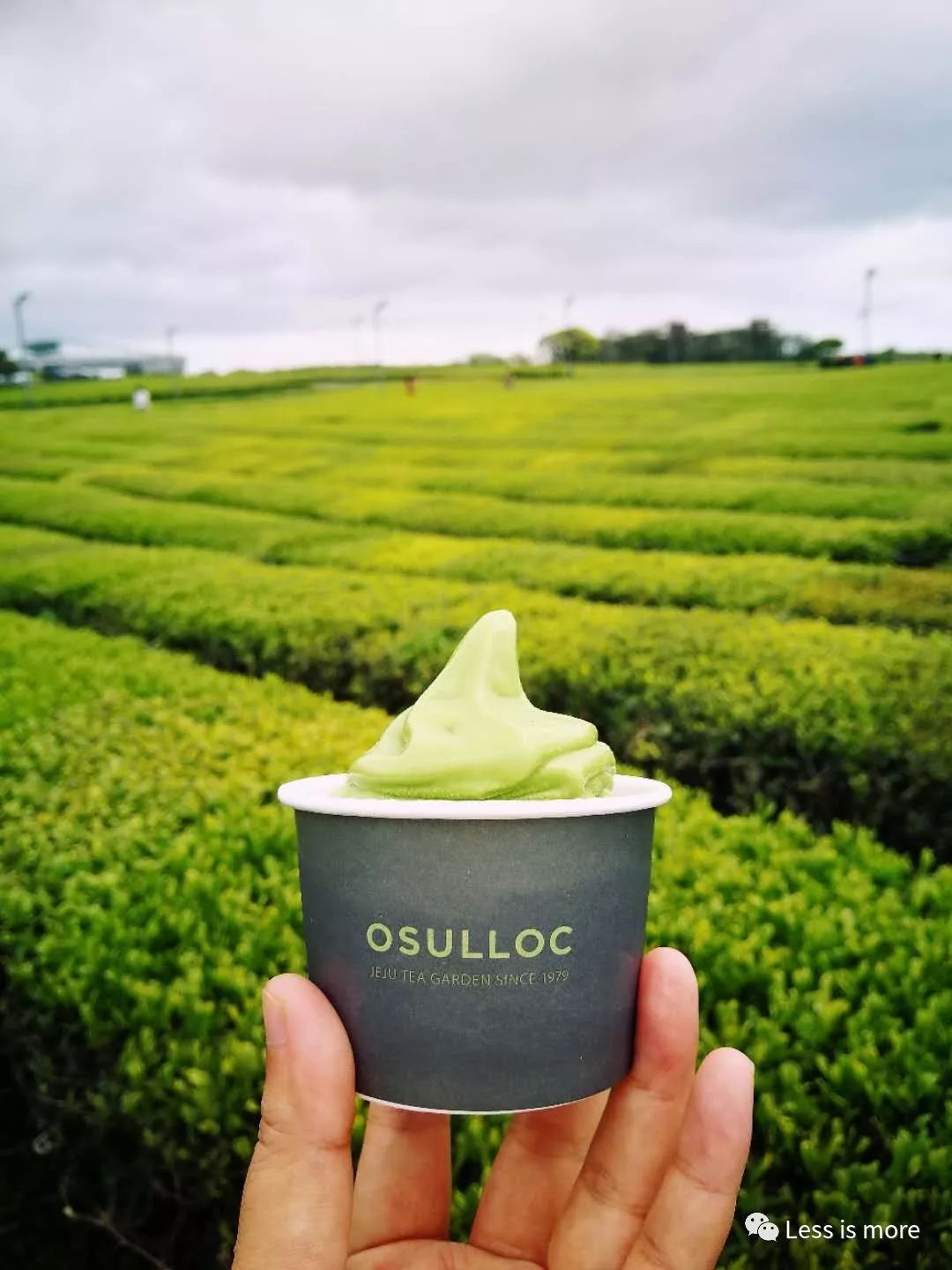 韩国济州岛超详细旅游规划攻略,韩国济州岛攻略自由行