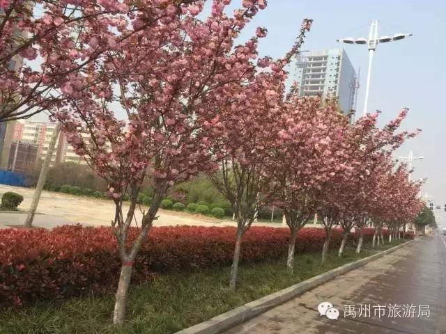 禹州清明踏青旅游攻略,禹州春游爬山的好地方