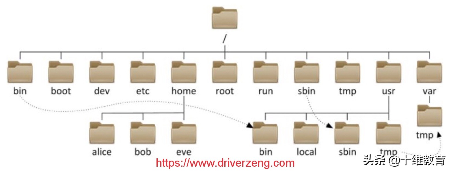 Linux系统入门：文件管理