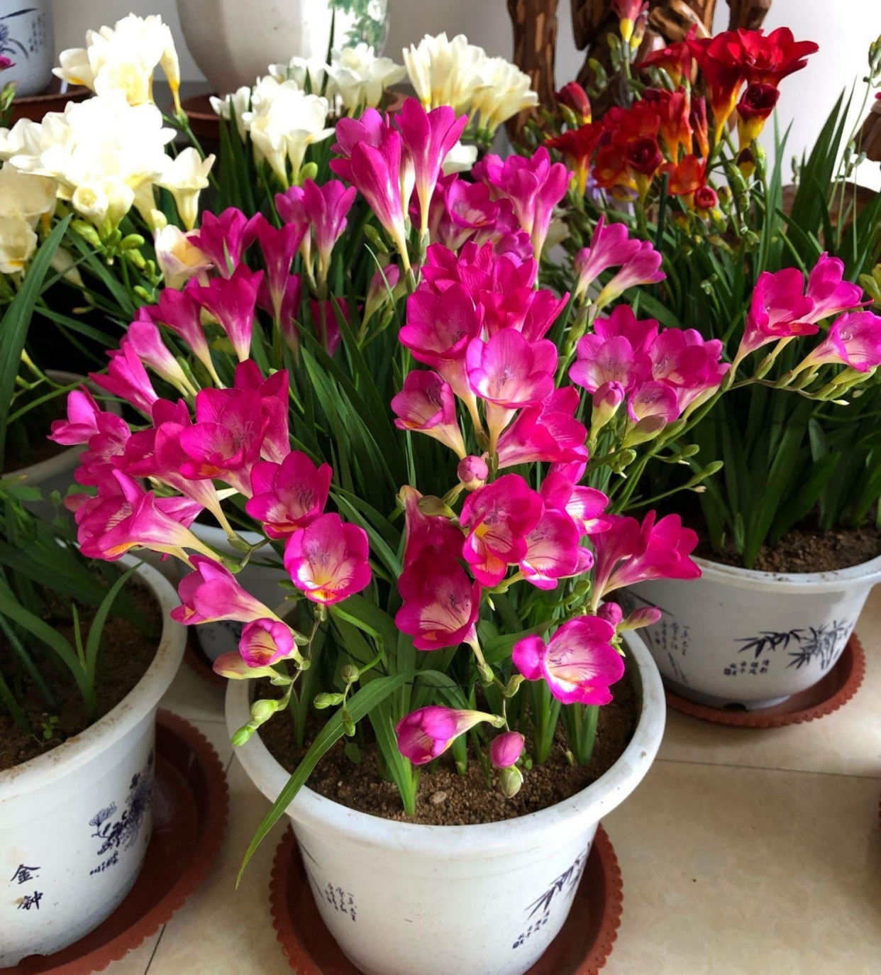 5种花香香水,哪种香水花最好最好闻