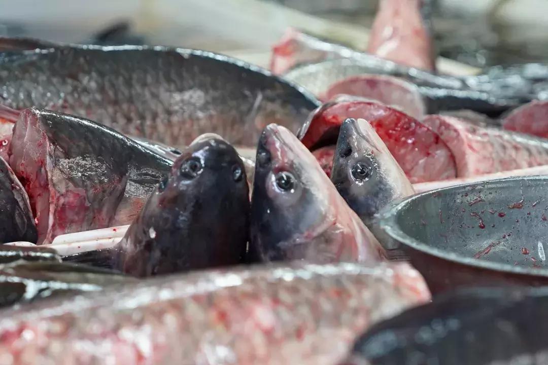 年味｜带上小拖车跟我走！这里买年货实惠好吃