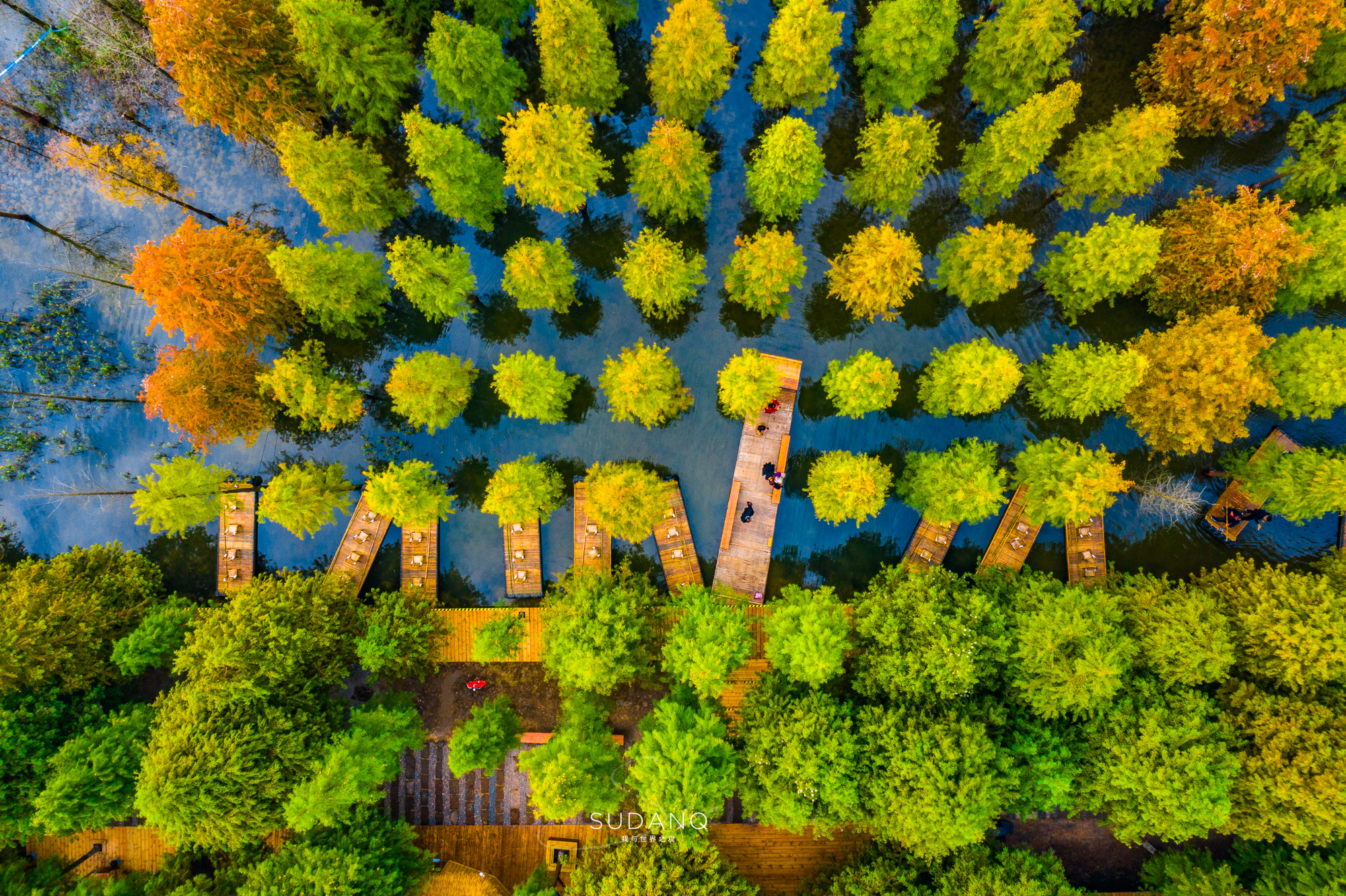 江苏泗洪的风景,江苏的苏南和苏北有什么区别