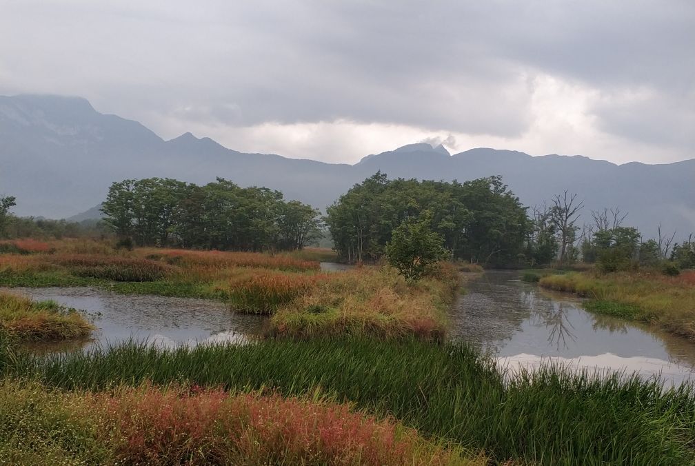 中医与生活相结合,中医和生活的奇妙关系