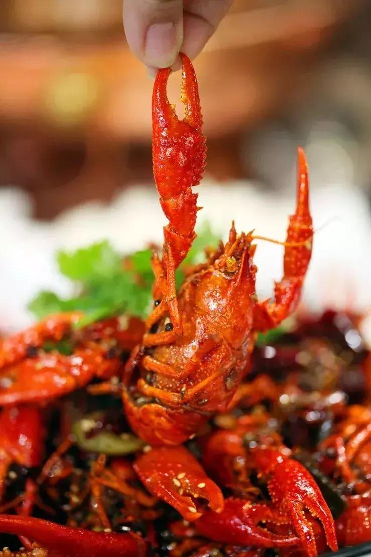 门头沟十大特色美食,门头沟区大台美食