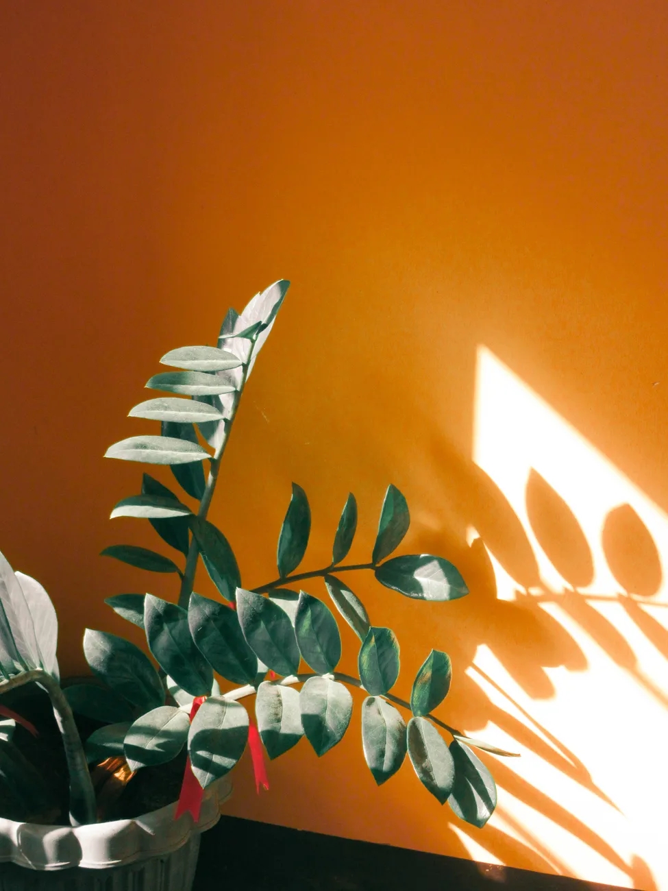 高敏感会不会变得不那么敏感,我太敏感了怎么治好