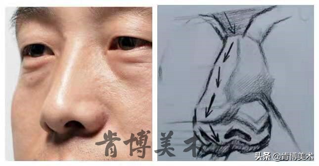 素描入门零基础教程人像鼻子,素描人物头像鼻子详细教程