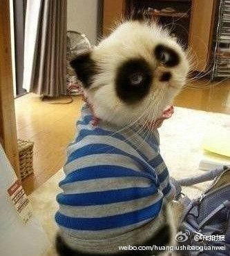 一碰就怀孕的易孕体质你是吗,一碰就怀孕是特殊体质吗