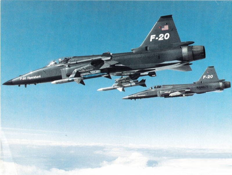 虎鲨悲剧,极富悲剧色彩的虎鲸