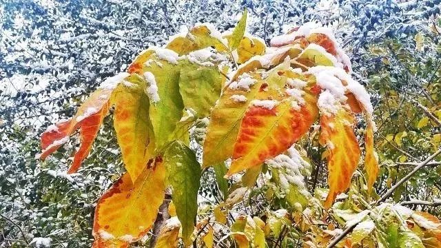 在家自制烧烤邻居家小孩都馋哭了,自己做辣条隔壁小孩都馋哭了