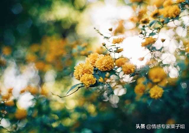 情感咨询|栗子姐每日情感问答(0304)