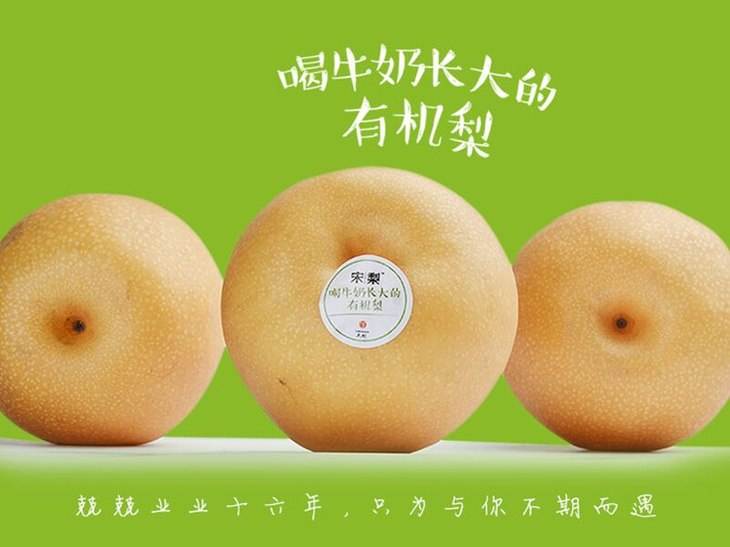 他辞去500强企业的工作,毅然决然开荒种梨,最后怎么样了