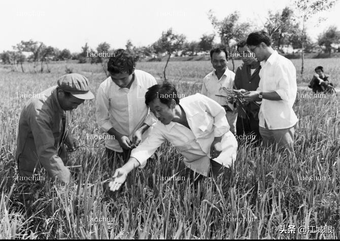 03年春天老照片,老照片里的旧时光