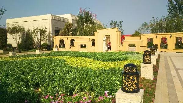 恒信集团特点,恒信集团势不可挡