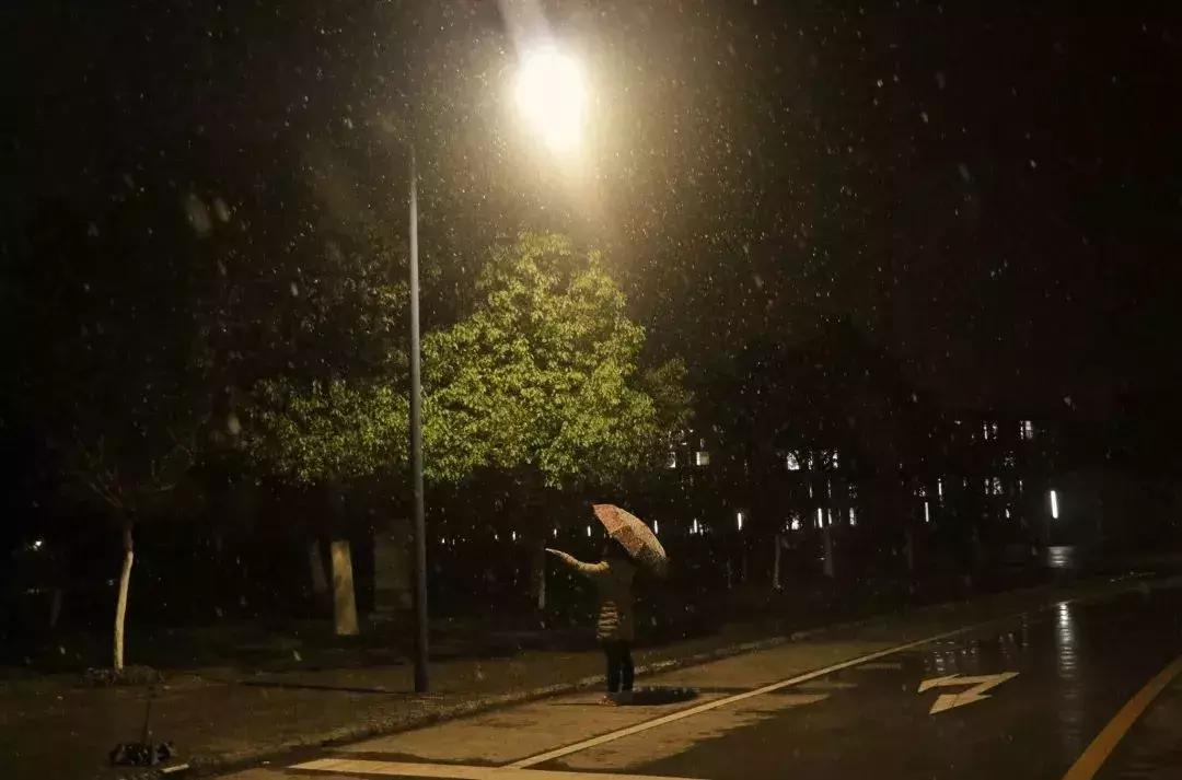 初雪终于来了原版,初雪终于在新年到来前