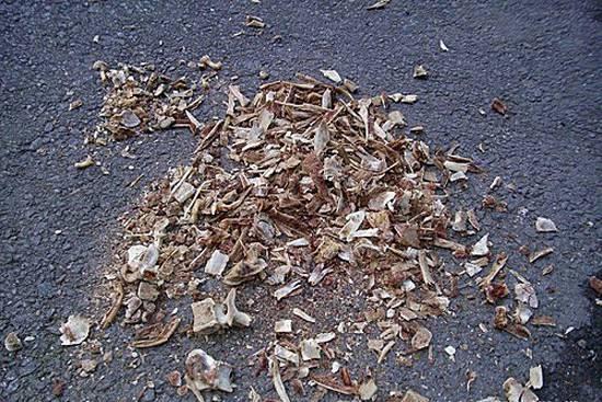 花不用肥买什么,有机肥和磷钾肥养花