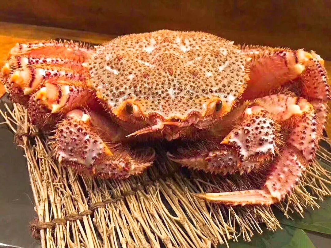 上海端午福利套餐,9.9抵100优惠券日本料理