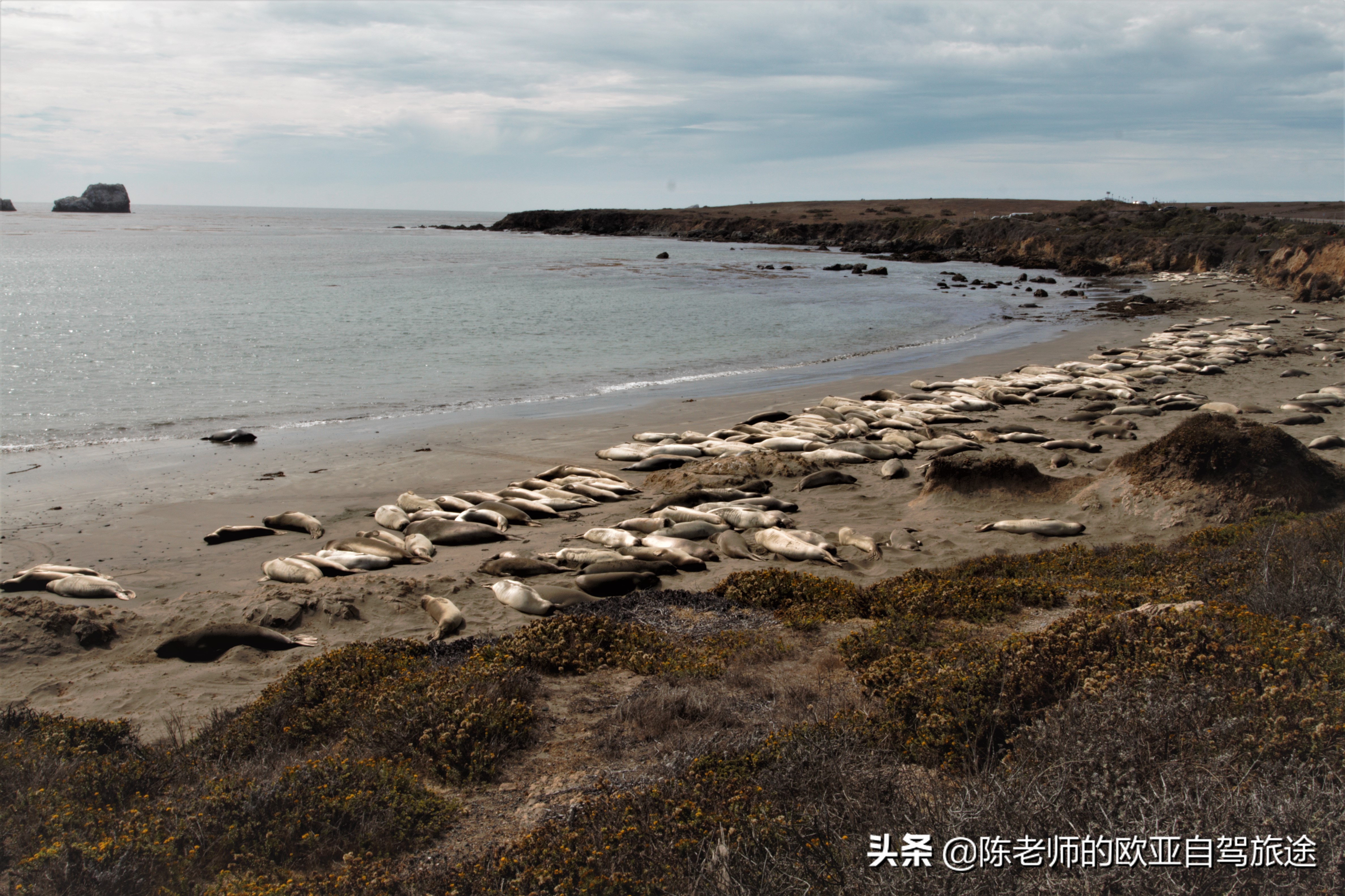 美国旅游攻略自由行视频,自驾游美国合集