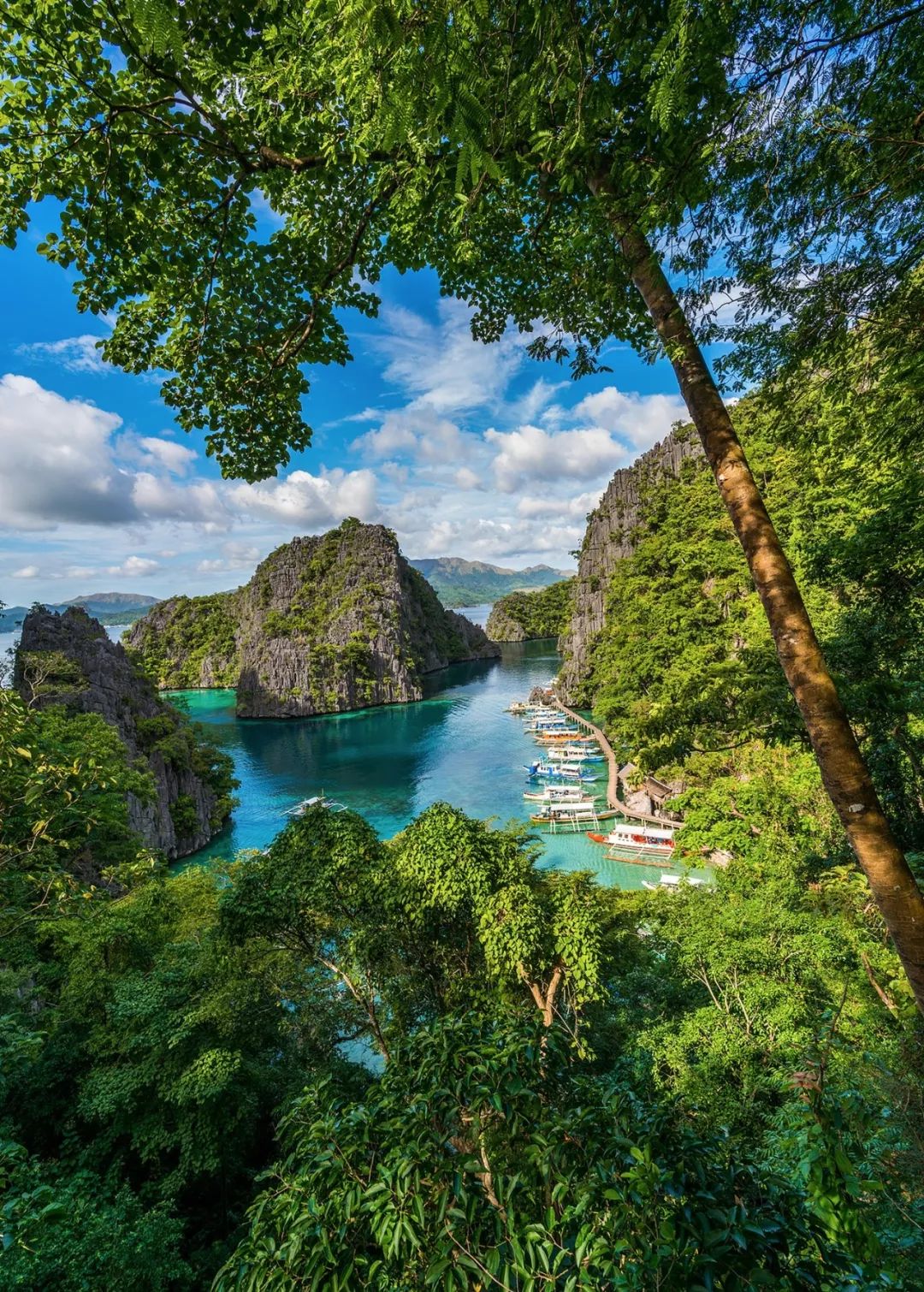 菲律宾碎玻璃,菲律宾塑料破碎