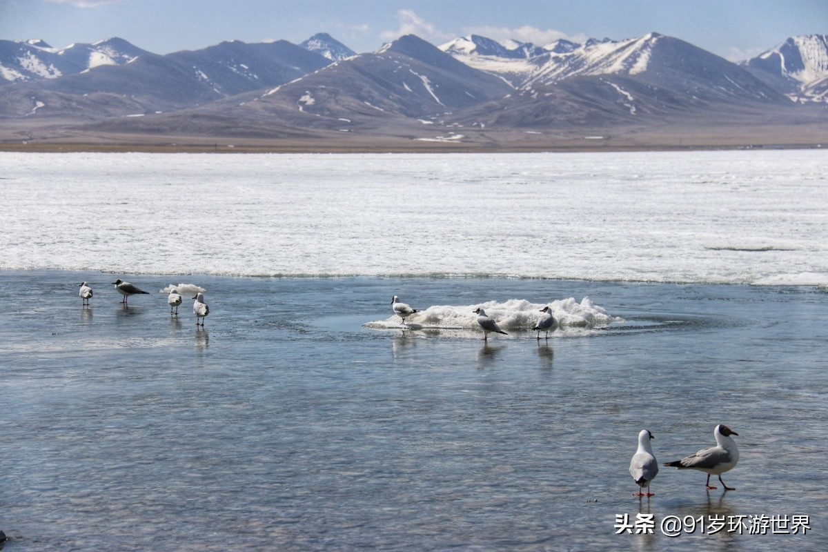 纳木错圣湖完整版,西藏三大圣湖之一纳木错无滤镜