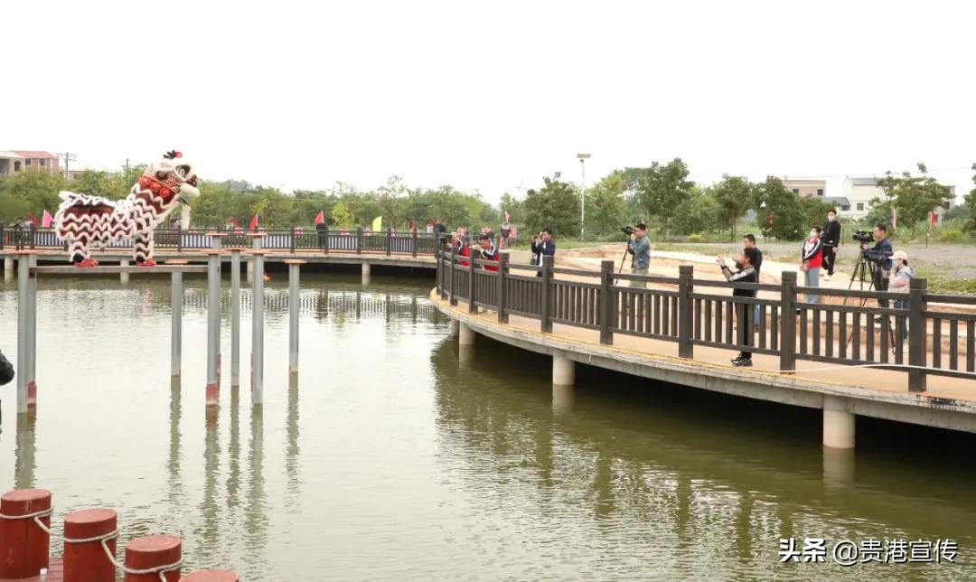 全国电视媒体走进贵港,全国百家媒体相聚巴彦淖尔