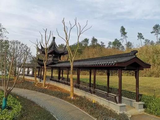 南充文峰片区发展前景,南充文峰片区各个楼盘优缺点