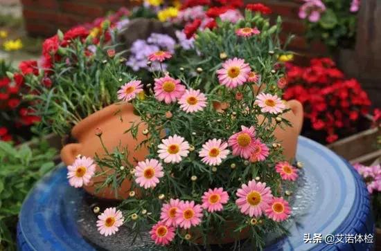 合肥大蜀山详细攻略,合肥大蜀山是什么时候去比较好看