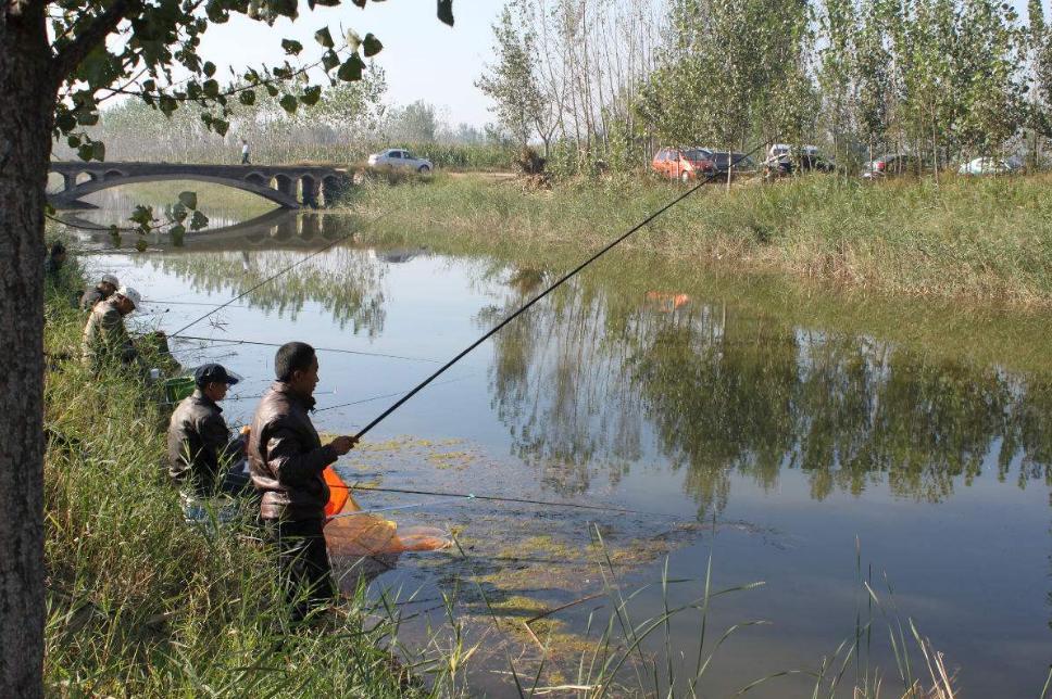 野钓窝子有鱼不咬钩什么原因,野钓窝里有鲫鱼但是不咬钩
