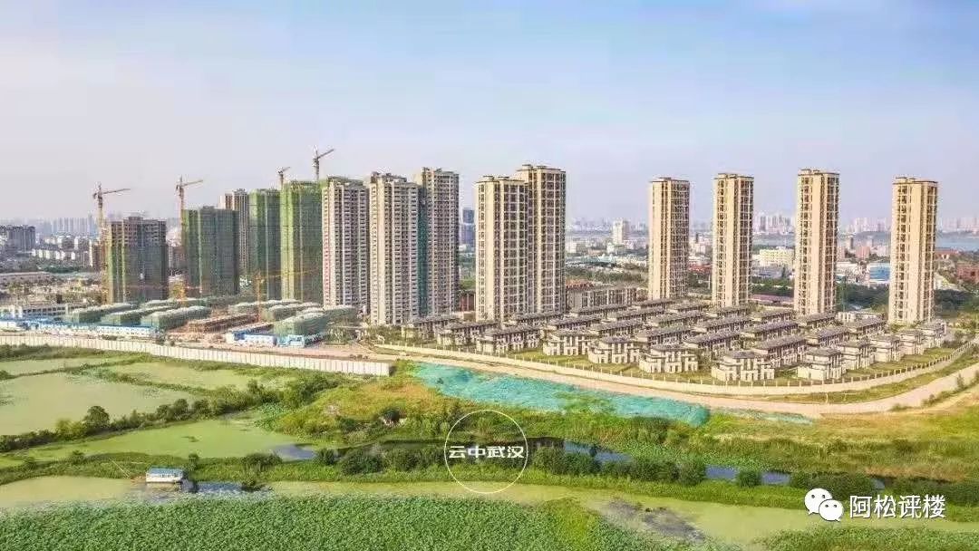 白沙洲新楼盘排行榜2020,白沙洲最火盘