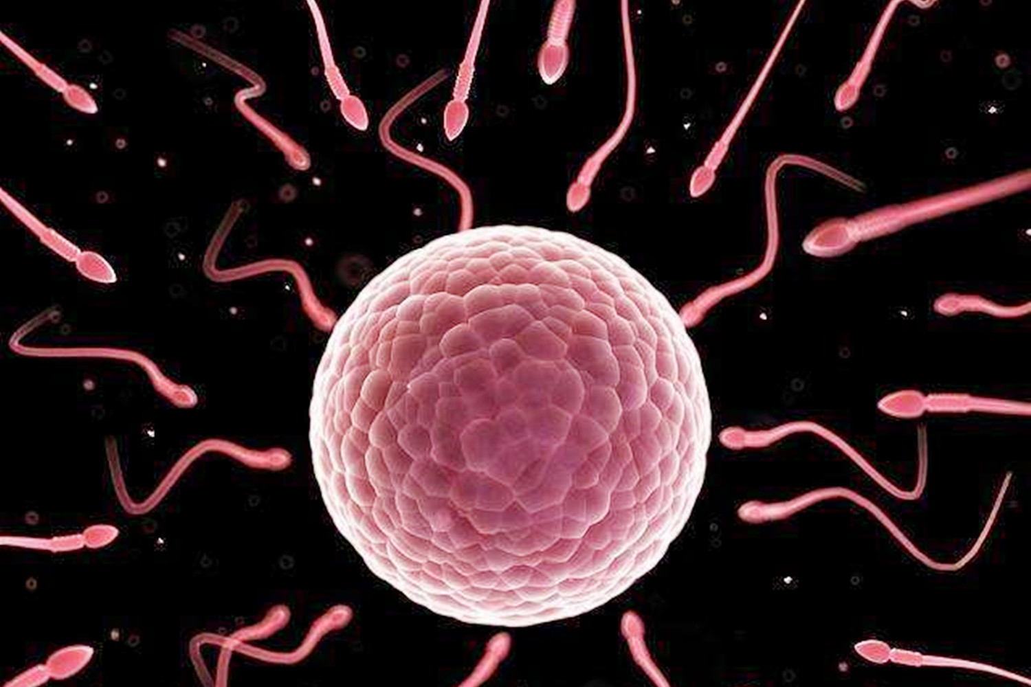 如何判断怀孕?胚胎着床时,女人会有这几种感受,你感受到了吗