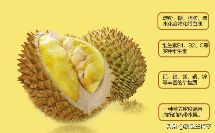 买榴莲时教你4招,买榴莲技巧口诀