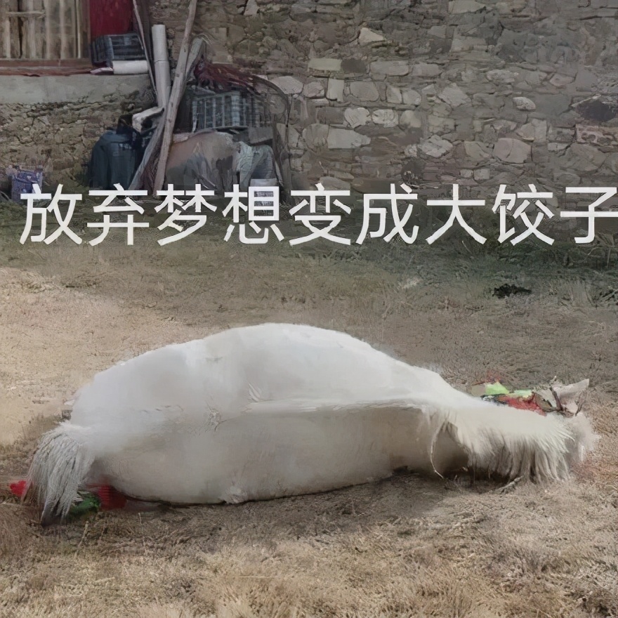 灵魂对话网红圈资深猎头：丁真的职业选择和未来