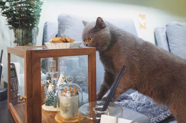 男女都适合圣诞礼物推荐,圣诞节超实用的礼物推荐