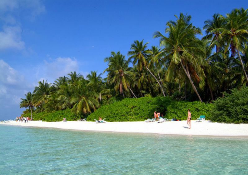 马尔代夫班度士岛旅游,马尔代夫thoddoo岛怎么去