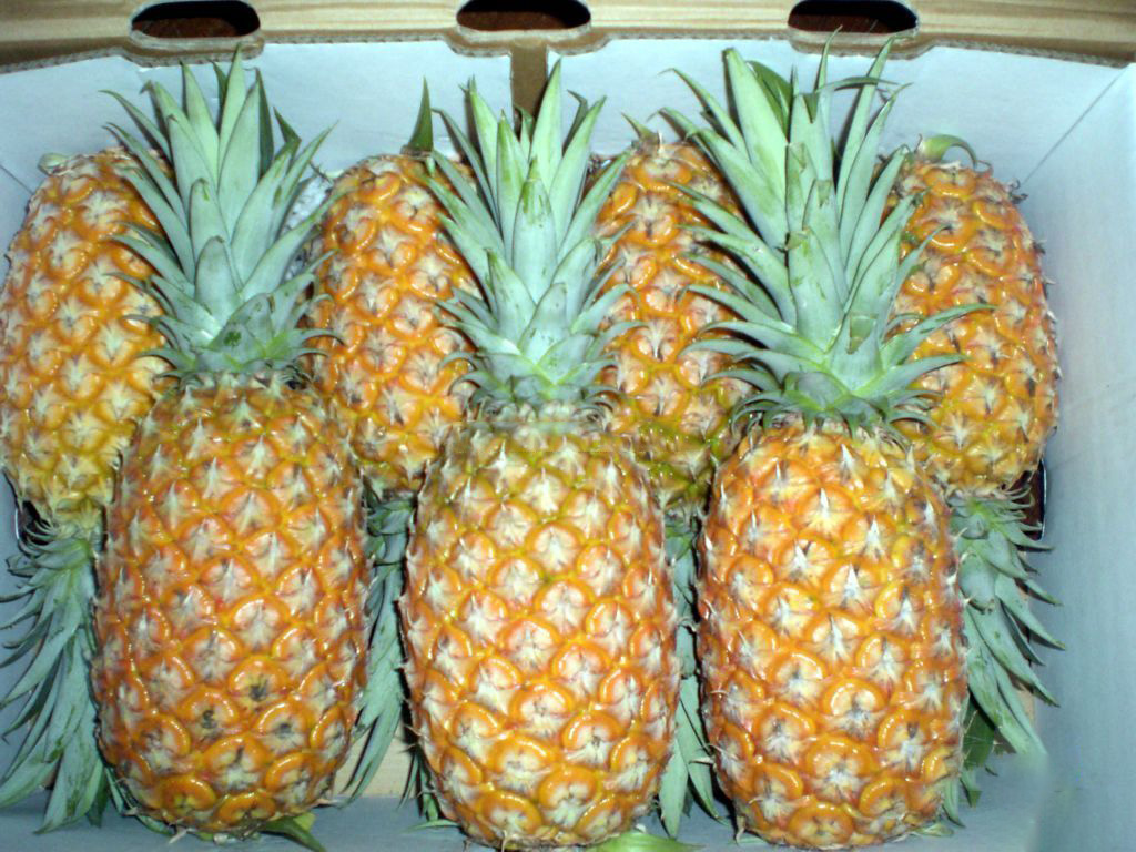 海南租车别克7座每天价格,海南自驾租车最便宜