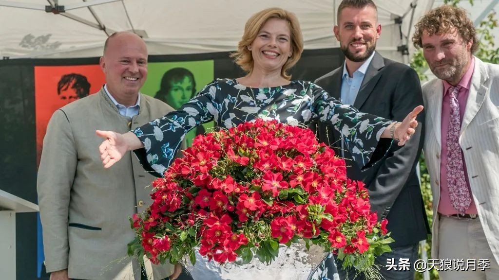 不用修剪的月季,不用打药的月季