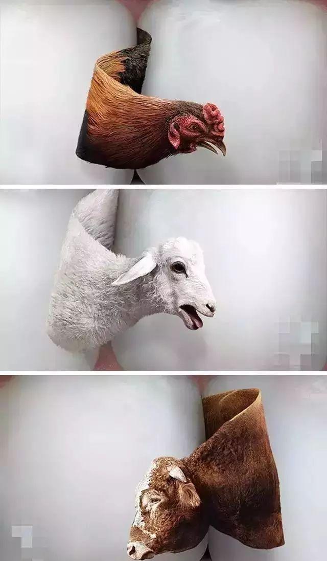 最新牙元素口腔广告,口腔户外广告创意案例100例