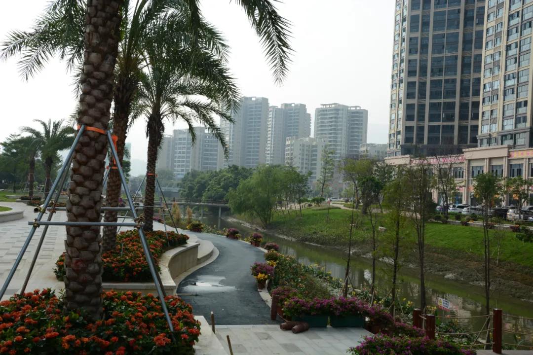 新河浦碧道公园,江门碧道公园