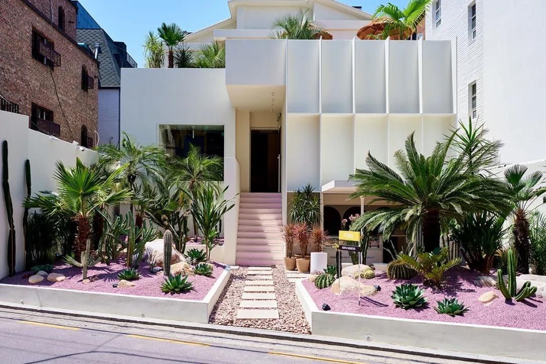 鐪奸暅寮哄娍鍥炲綊,鏃跺皻鐪奸暅娆㈣繋閫夎喘