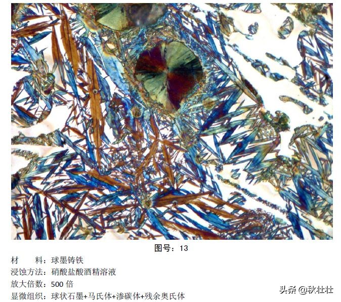 马氏体和奥氏体金相图片,马氏体和珠光体金相区别