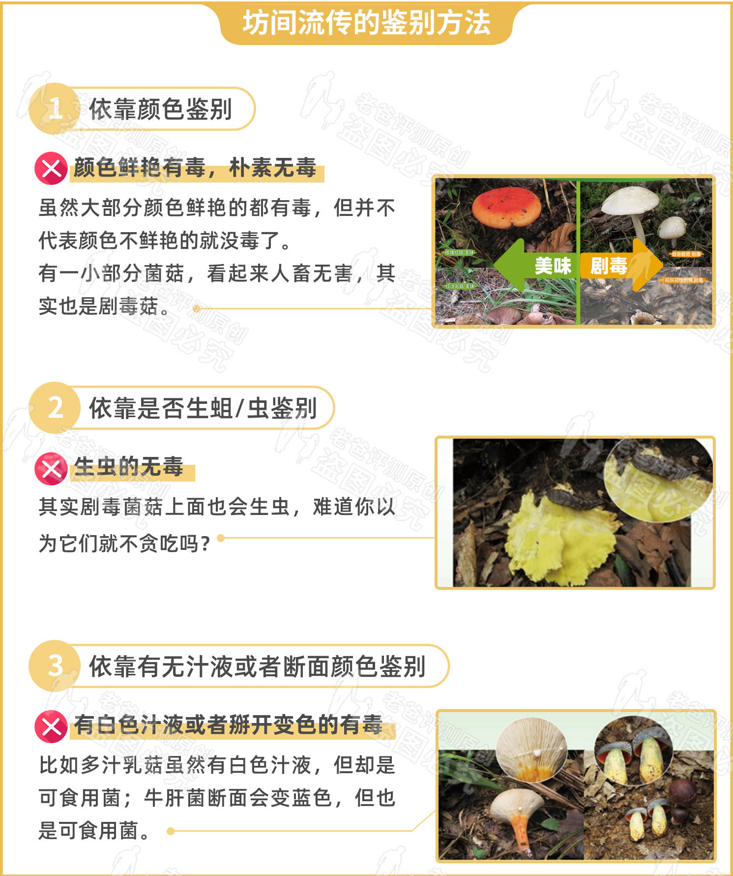 云南人每年吃菌中毒大概多少人,云南人每年吃菌菇中毒的人多吗