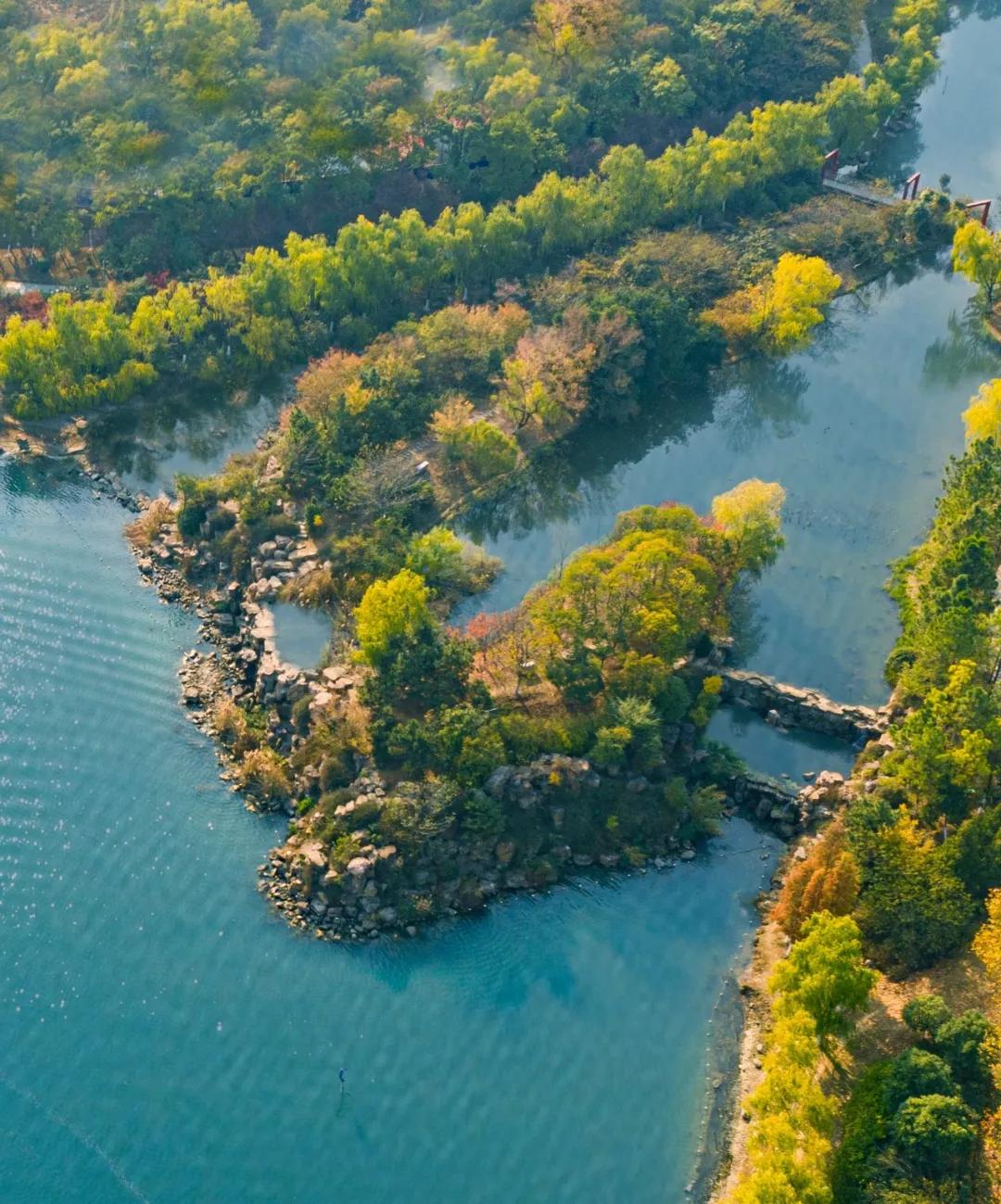 安徽省合肥市天鹅湖,安徽合肥的天鹅湖