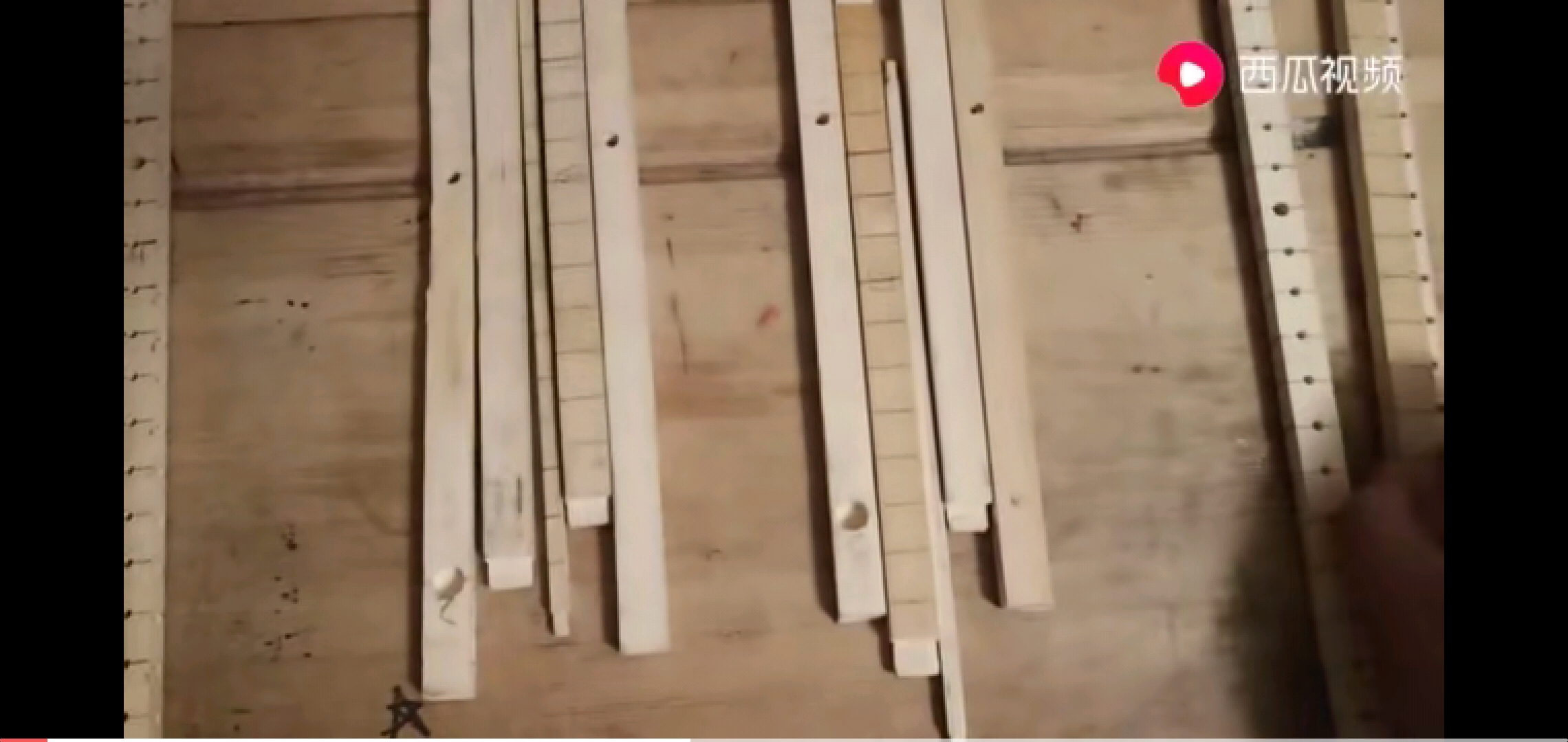 鸟笼制作,制作鹦鹉鸟笼