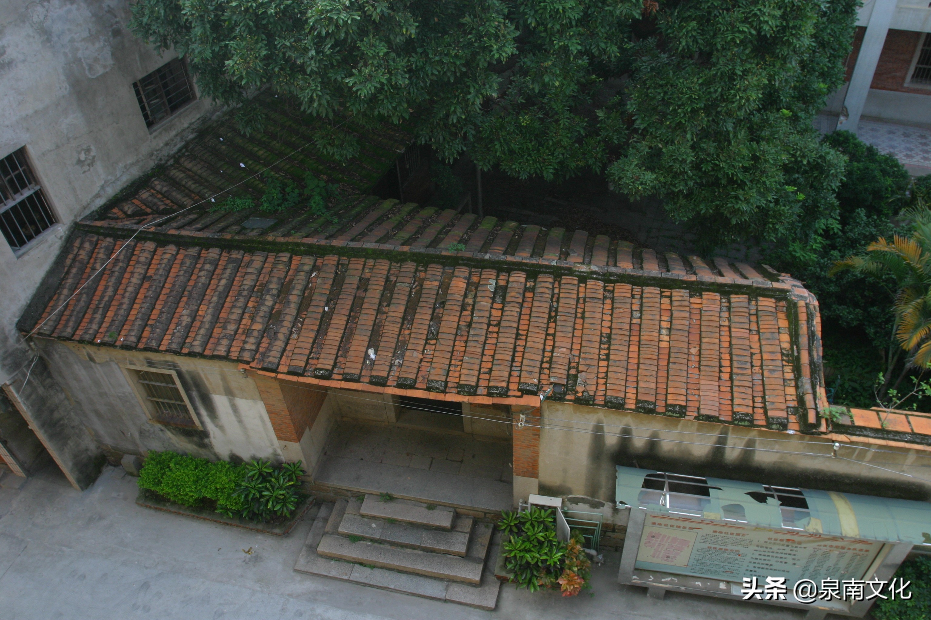 泉州中山路两侧巷道踏勘日记(三):奎霞巷、会通巷、通政巷等