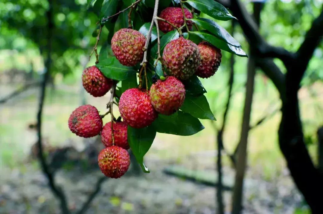 靠这64条玩转深圳！百万深圳人请收好！