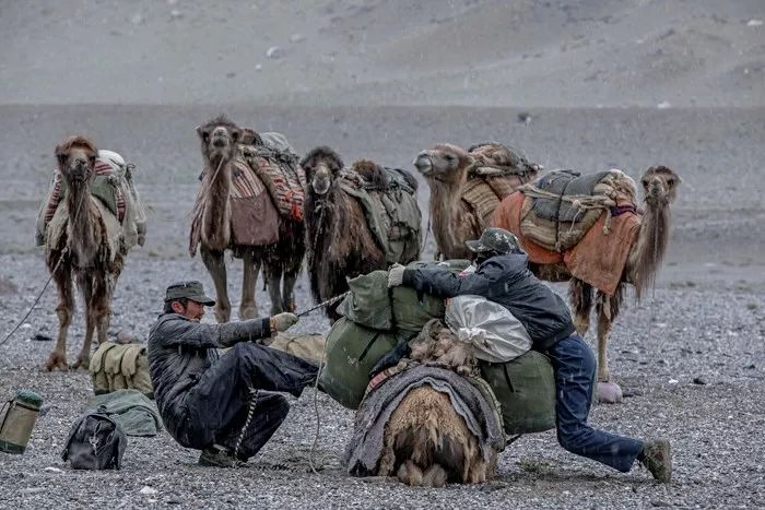 乔戈里峰k2野蛮巨峰,野蛮巨峰k2峰顶