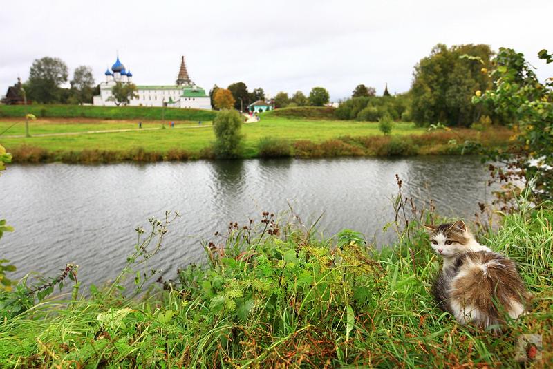 奢华宏伟,绝美的风景俄罗斯