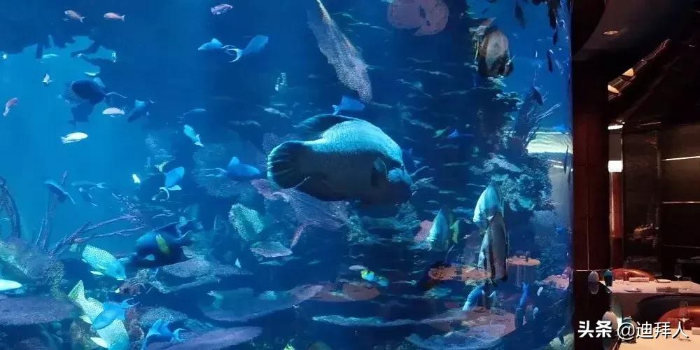 迪拜帆船酒店780平方米皇家套房,帆船酒店最贵套房